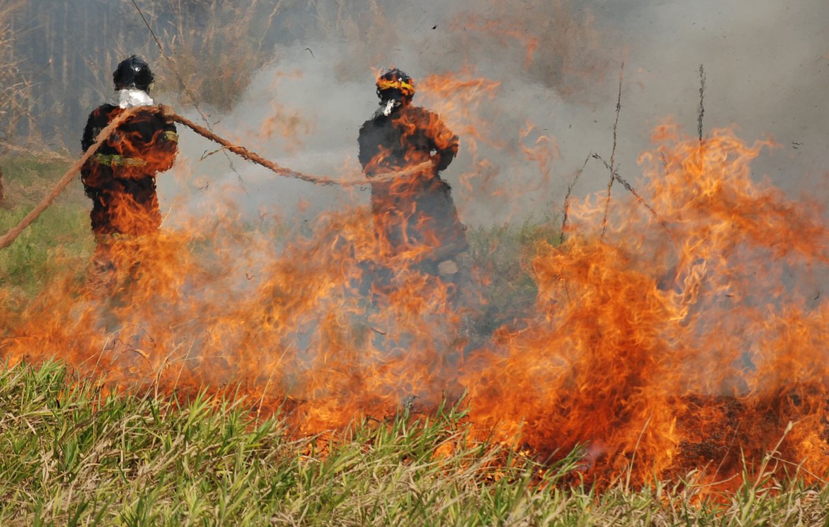 Estadao's tweet image. EDITORIAL: ‘Pantanal em chamas, de novo’ – Focos de incêndio no bioma crescem 1.000% e só agora o governo Lula diz que vai agir (via @opiniao_estadao) bit.ly/4eptMbX

📷 Ademir Almeida