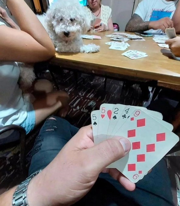 KenkenIsTaken's tweet image. en la proxima partida te recupero iñaki