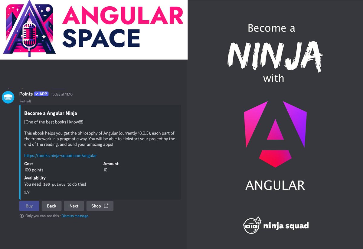New Discord Shop Item Added!!! @NinjaSquad decided to donate: - 10x Become  a #Angular Ninja e-Books !!! This is one of THE BEST books I have ever seen  about Angular as a, image size:1200x822