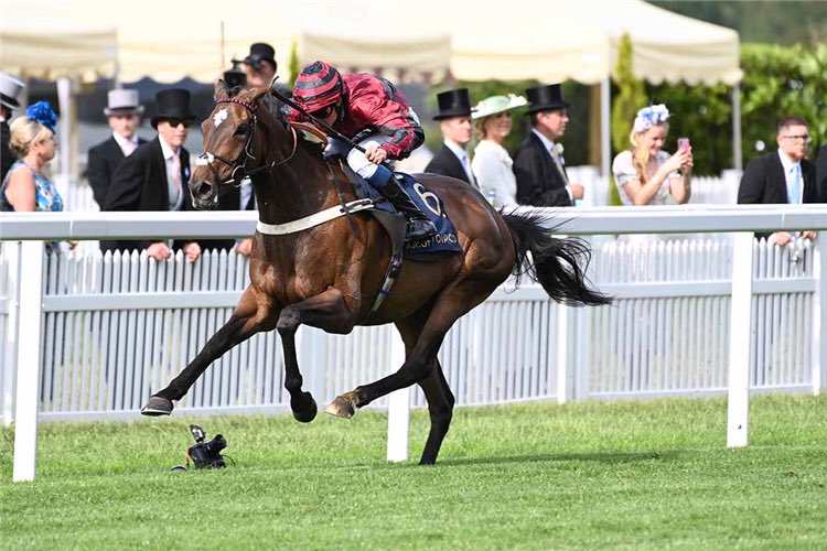 A year on from her sparkling swansong in the <a href="/Ascot/">Ascot Racecourse</a> Stakes when 7 weeks in foal, AHORSEWITHNONAME is enjoying a leisurely lifestyle these days. Here she is with her Cracksman colt foal.

She’s a natural mother, and is back in foal to Ghaiyyath 🐎👑🎩

#RoyalAscot <a href="/itvracing/">ITV Racing</a>