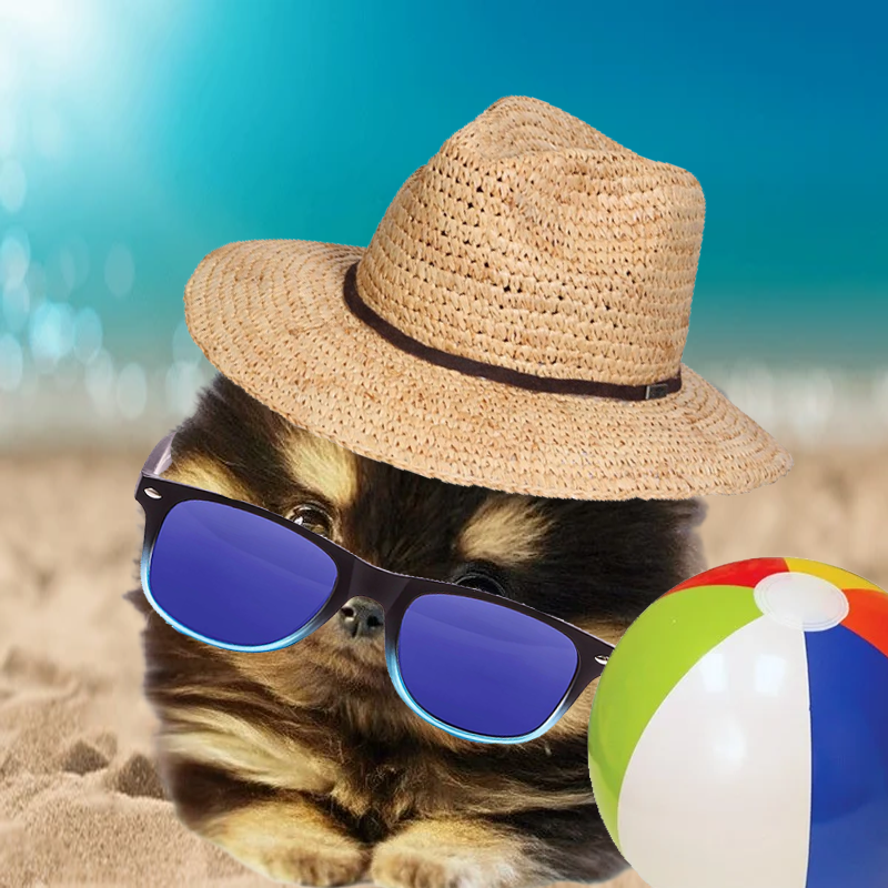 DILLYSOLCUTE's tweet photo. @Dior100x $DILLY is having a fire sale right now, all paws on deck!

5 SOL Burned from DEV wallet and project is CTO'd

https://t.co/GL6IvceMuV https://t.co/vuq5dEVqMP