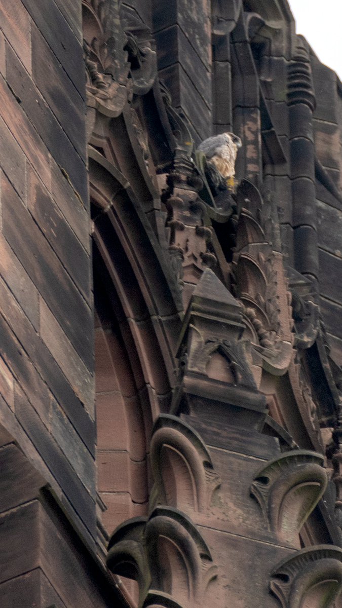 Liverpool Vista tweet media