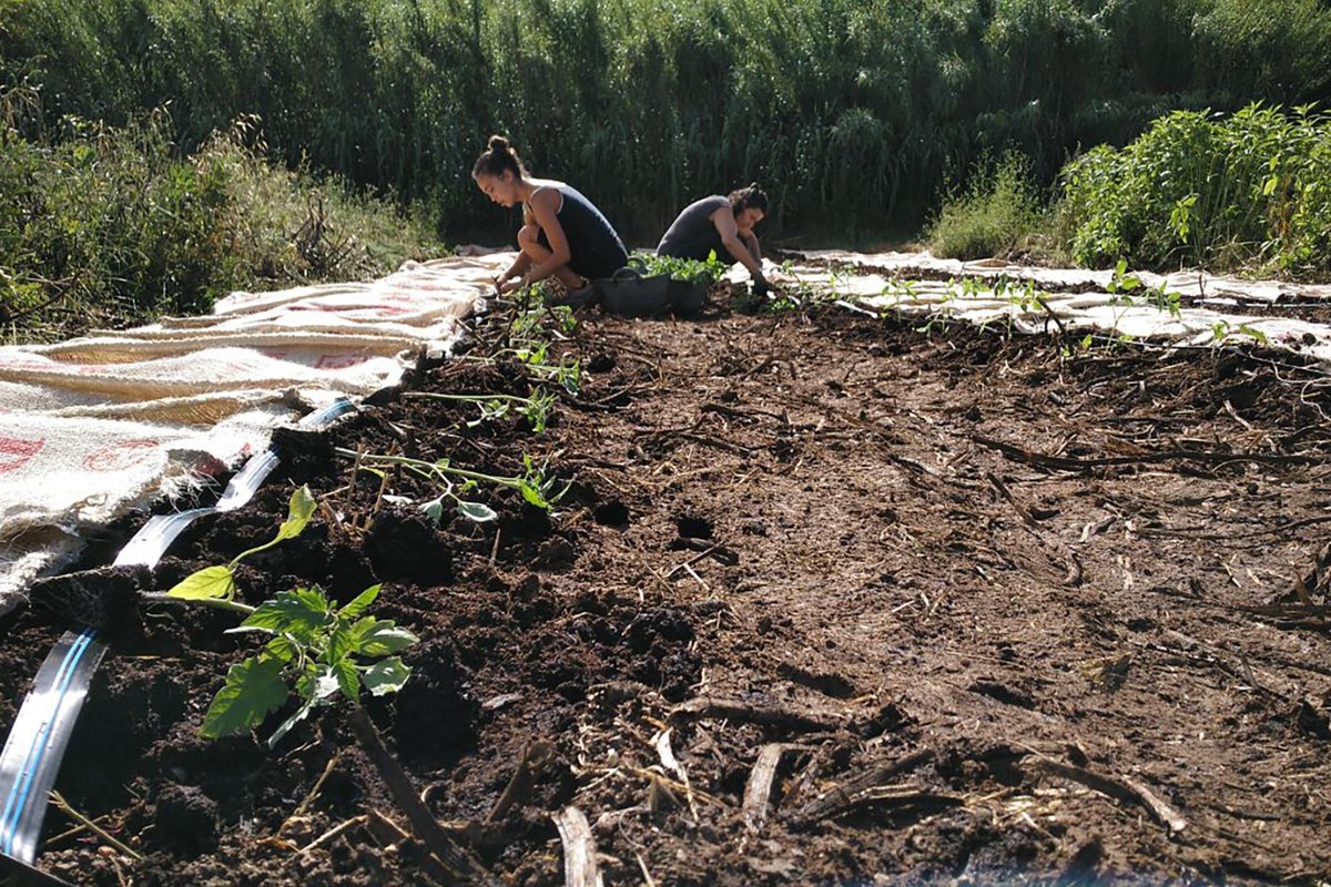 La_Directa's tweet image. #AUTOGESTIÓ | Can Tonal, una dècada reconstruint el comunal directa.cat/can-tonal-una-… El centre social i comunitari de Sant Antoni de Vilamajor és un espai de referència en la cultura de l'autonomia, el suport mutu i la sobirania alimentària. Reportatge de Guille Larios