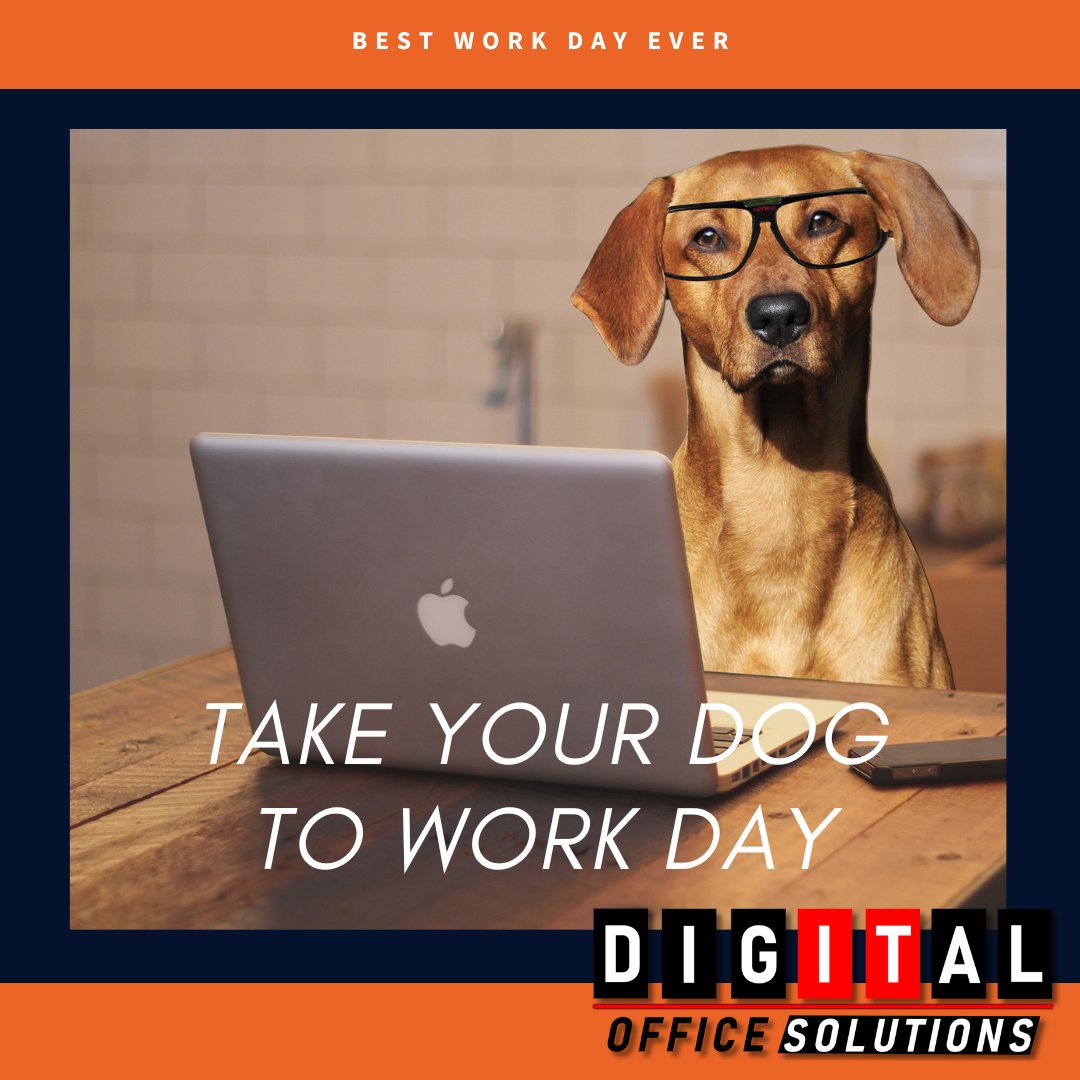 Who needs a regular office when you can have your dog as your coworker? Enjoying the perks of National Take Your Dog to Work Day! Who's taking their paw-some pets to work today?? 🐕💻 #DoggyCoworker #WorkFromHome #BestOfficeMate