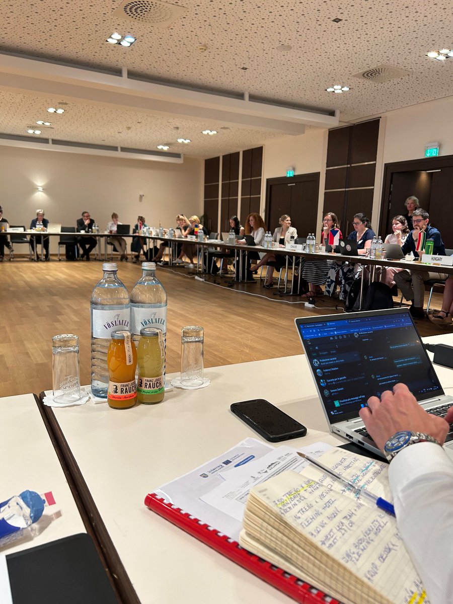 And it's done! Thank you for having me #UNEP Vienna and #Carpathian Convention