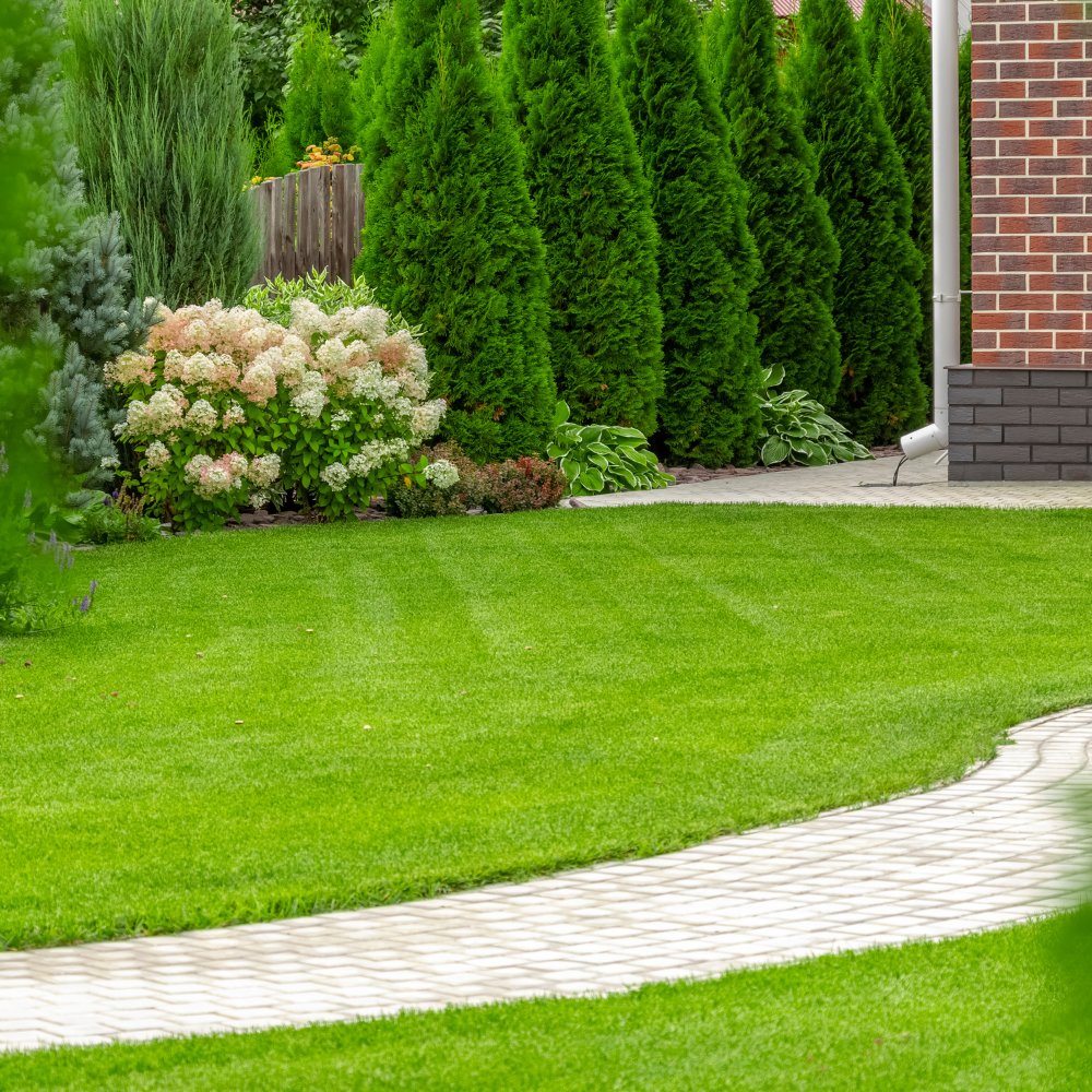 TopsoilDirect's tweet image. Enhance your lawn with our premium grass seed options, available with any soil purchase! 🌱

#Grass #GrassSeed #Garden #LawnCare #Topsoil #GardenSoil #GTD #BeautifulLawns