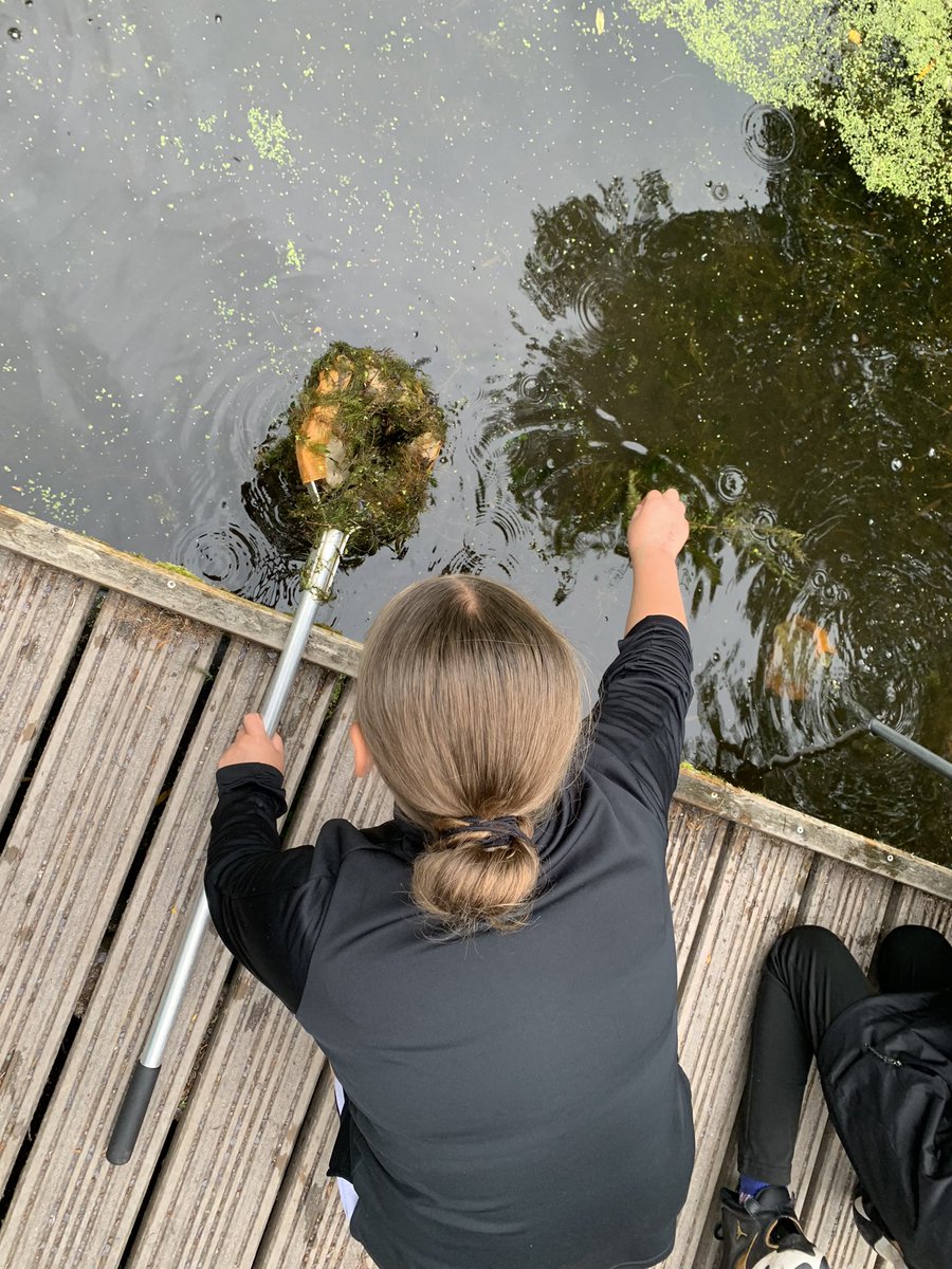 At the <a href="/RSPBConwy/">RSPB Conwy</a> and pond-dipping.
#residentialdiaries 
Cc <a href="/FernPrimary/">FernPrimary</a>