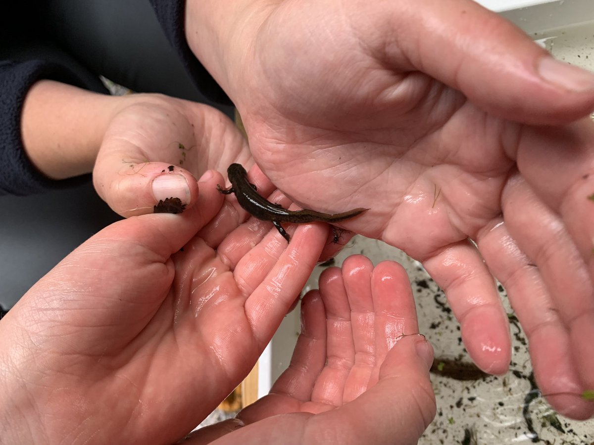 Ben Waldram tweet media