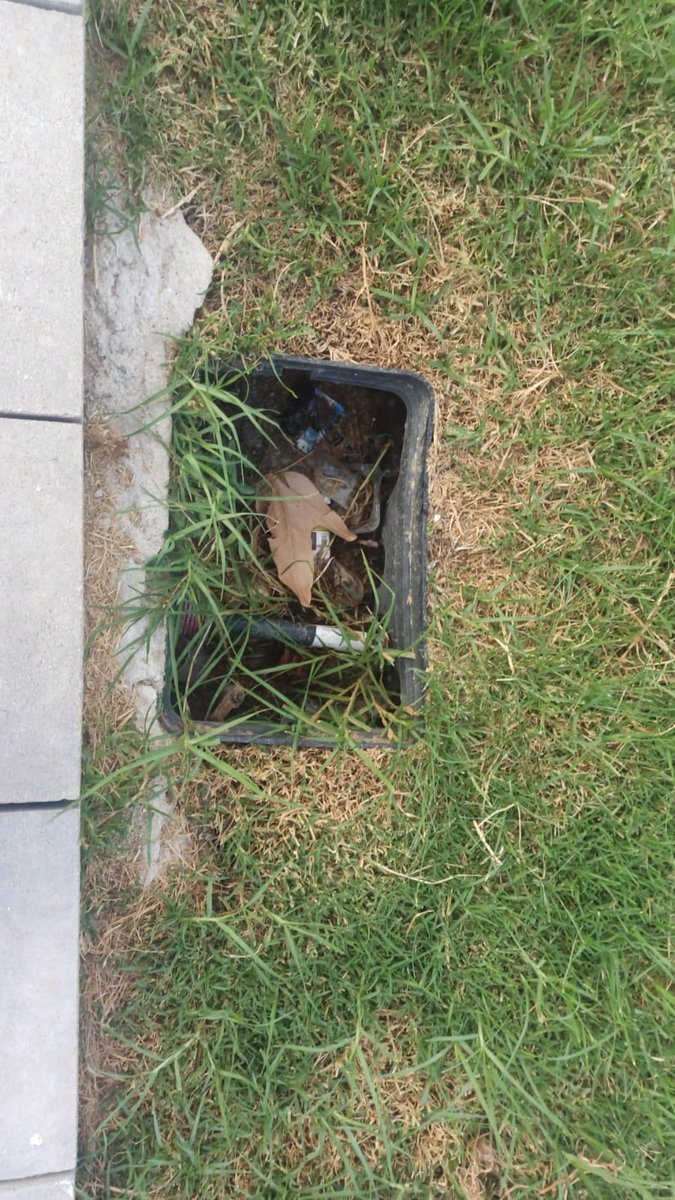 DoctorKnoxville's tweet photo. Llevamos más de un año viviendo en Guadalupe y aún no tenemos servicio de limpieza viaria ni parques. Y me dicen en la Alcaldía que es que no hay presupuesto.Una vergüenza que cada vez que queramos que nos recojan la basura tengamos que llamar.
@AytoMurcia @Rebepl @mucsostenible https://t.co/Gy5hJ9FNOQ