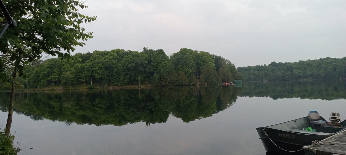 Cathy Goodfellow tweet media