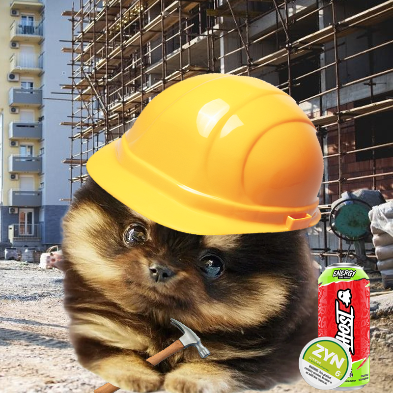 DILLYSOLCUTE's tweet photo. @elawnidotsol @Cobratate Don't sleep on $DILLY, he's so stinking cute!

CTO'd with a strong community and dev burnt supply.

https://t.co/GL6IvceMuV https://t.co/0Yb0TfpRbq