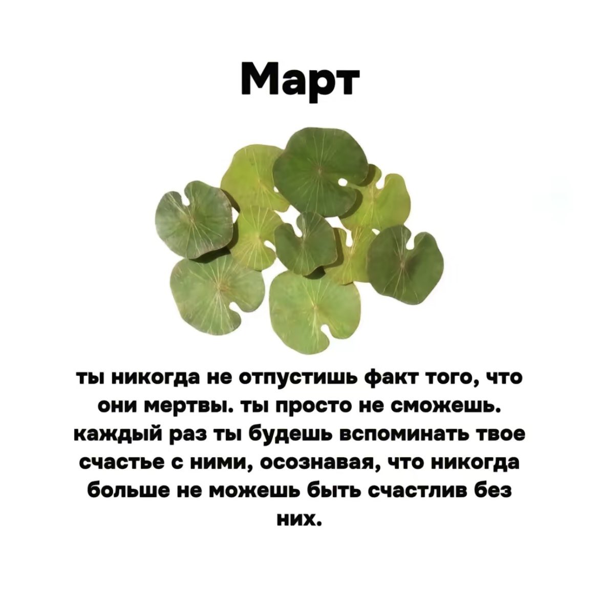 Ну прям по больному бьёт 😔