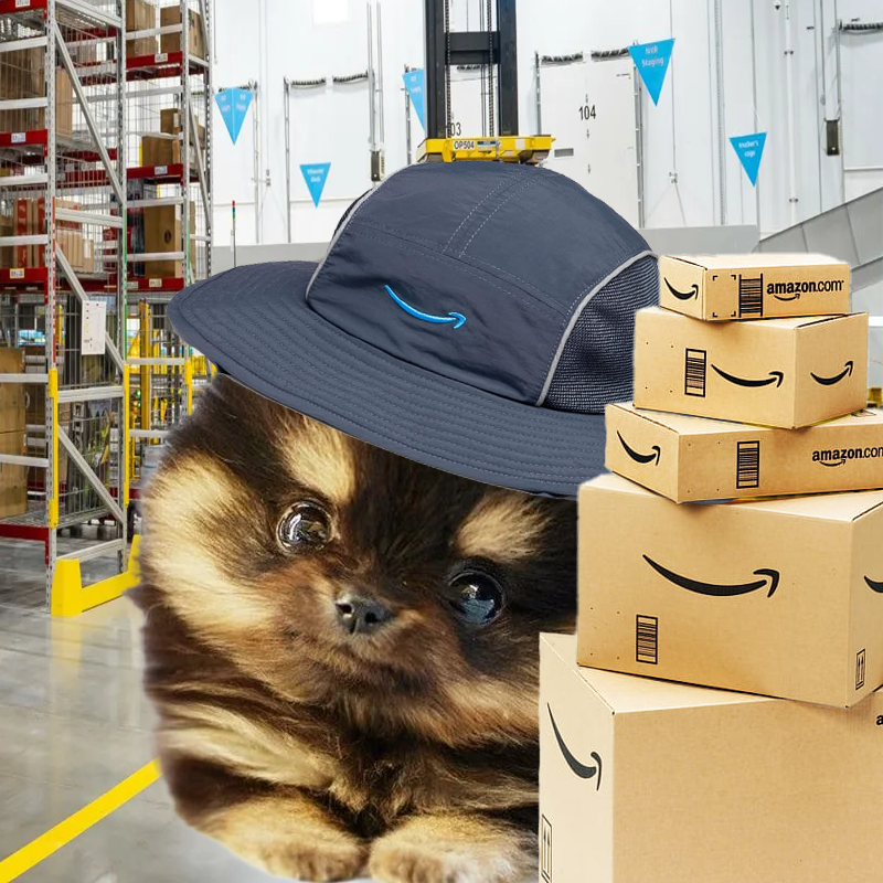 DILLYSOLCUTE's tweet photo. @WhaleEverything Next week? $DILLY is active right now and is looking pawesome.

https://t.co/GL6IvceMuV https://t.co/HhqPAfeLSC