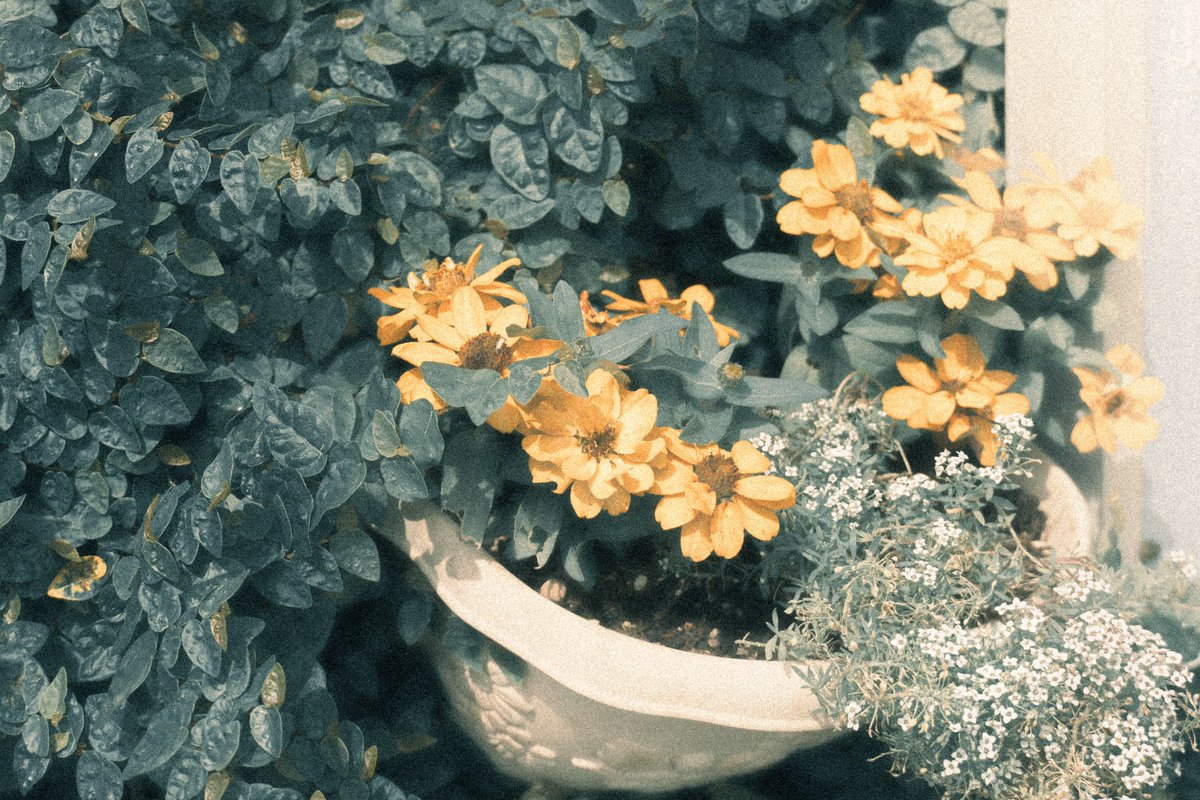 kai__film's tweet photo. refreshing https://t.co/GsA7OFChgn