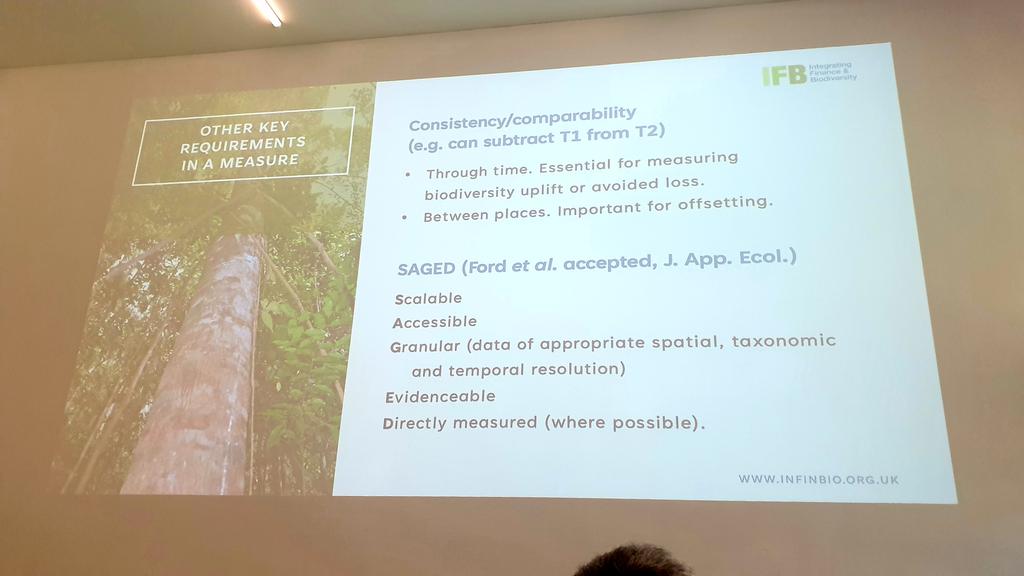 sMarten_Winter's tweet photo. @WorldBioForum @AndyPurvisNHM @BowlerDBear Was looking very much forward to co-chair (w several great colleagues) a session on "Biodiversity & Finance" @WorldBioForum
#wbf24 #wbf2024
Packed room & started w Richard Field for a brief overview https://t.co/L5IYOs2AWU