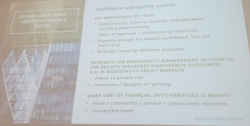 sMarten_Winter's tweet photo. @WorldBioForum @AndyPurvisNHM @BowlerDBear Was looking very much forward to co-chair (w several great colleagues) a session on "Biodiversity & Finance" @WorldBioForum
#wbf24 #wbf2024
Packed room & started w Richard Field for a brief overview https://t.co/L5IYOs2AWU