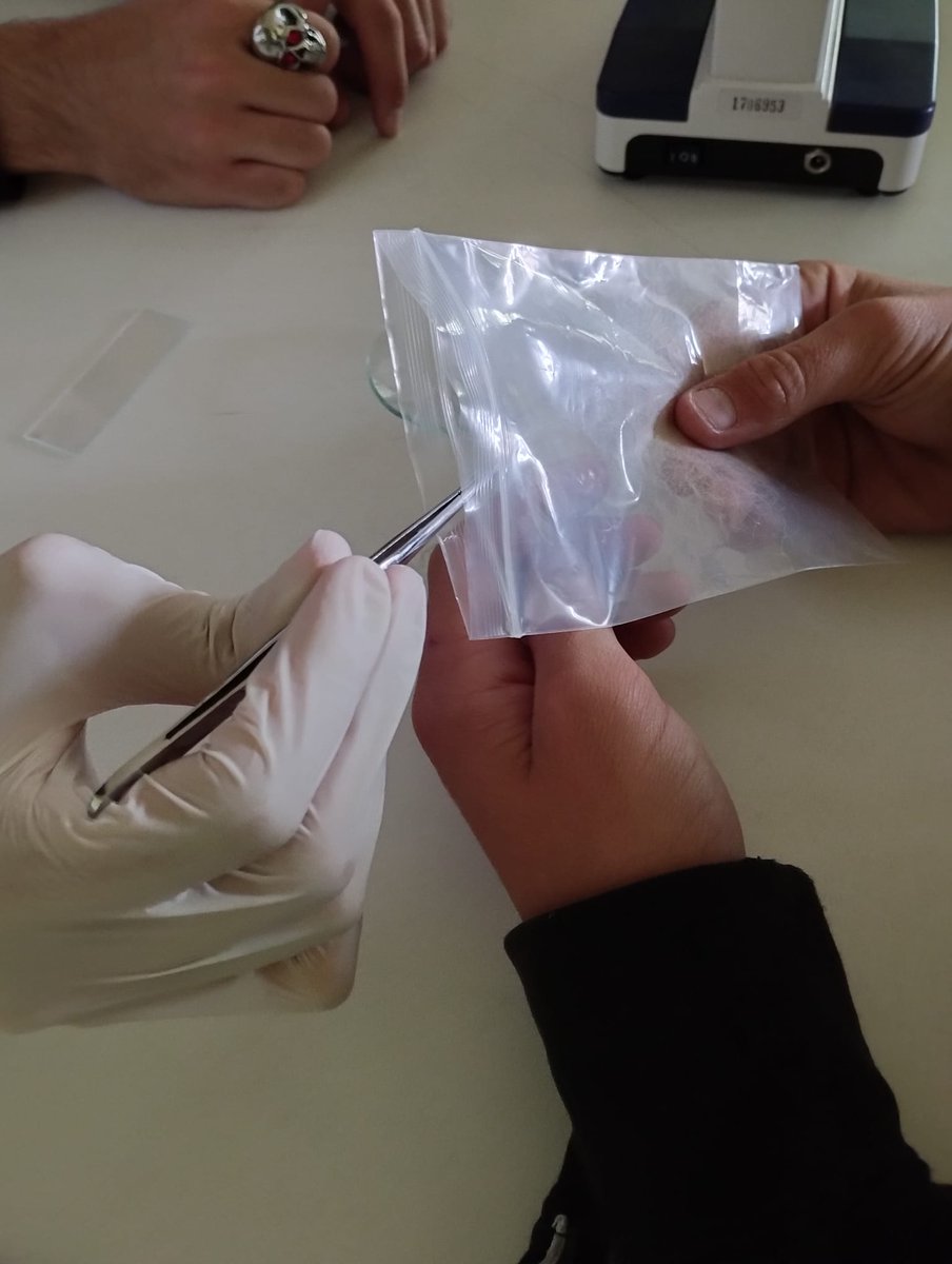 Enquête policière <a href="/clgBouligny/">Collège de Bouligny</a> suite de l'EPI sur les mines. Les élèves mènent l'enquête tout en réinvestissant les notions scientifiques abordées en classe de 4ème. <a href="/MadameMayer/">Mayer Catherine</a> <a href="/BoulignySvt/">SVT Bouligny</a> <a href="/MissTrivini/">MissTrivini</a> <a href="/Classe_Denis/">Sabrina Denis</a>, Mr Betting #scenedecrime #epi #sciences <a href="/acnancymetz/">Académie de Nancy-Metz</a>