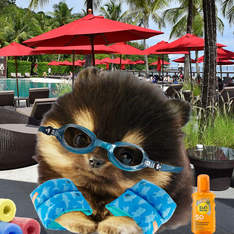 DILLYSOLCUTE's tweet photo. @100xAltcoinGems $DILLY might be a good choice. Project is CTO'd and over 8 SOL has been burned so far!

https://t.co/GL6IvceMuV https://t.co/JhQzTciWps