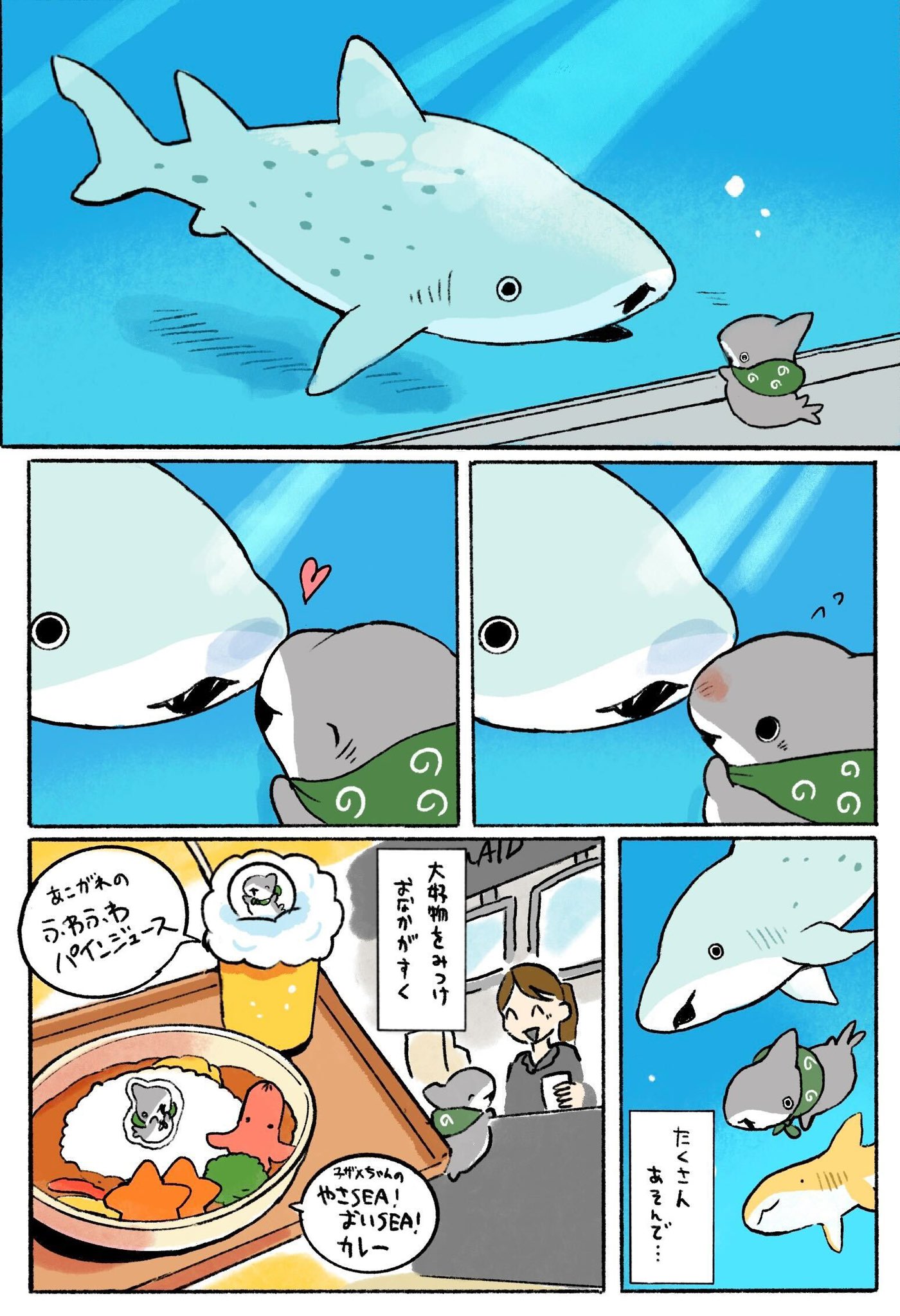 サメ子ページ 71tHWC+BgbL._UF350,350_QL50_.jpg