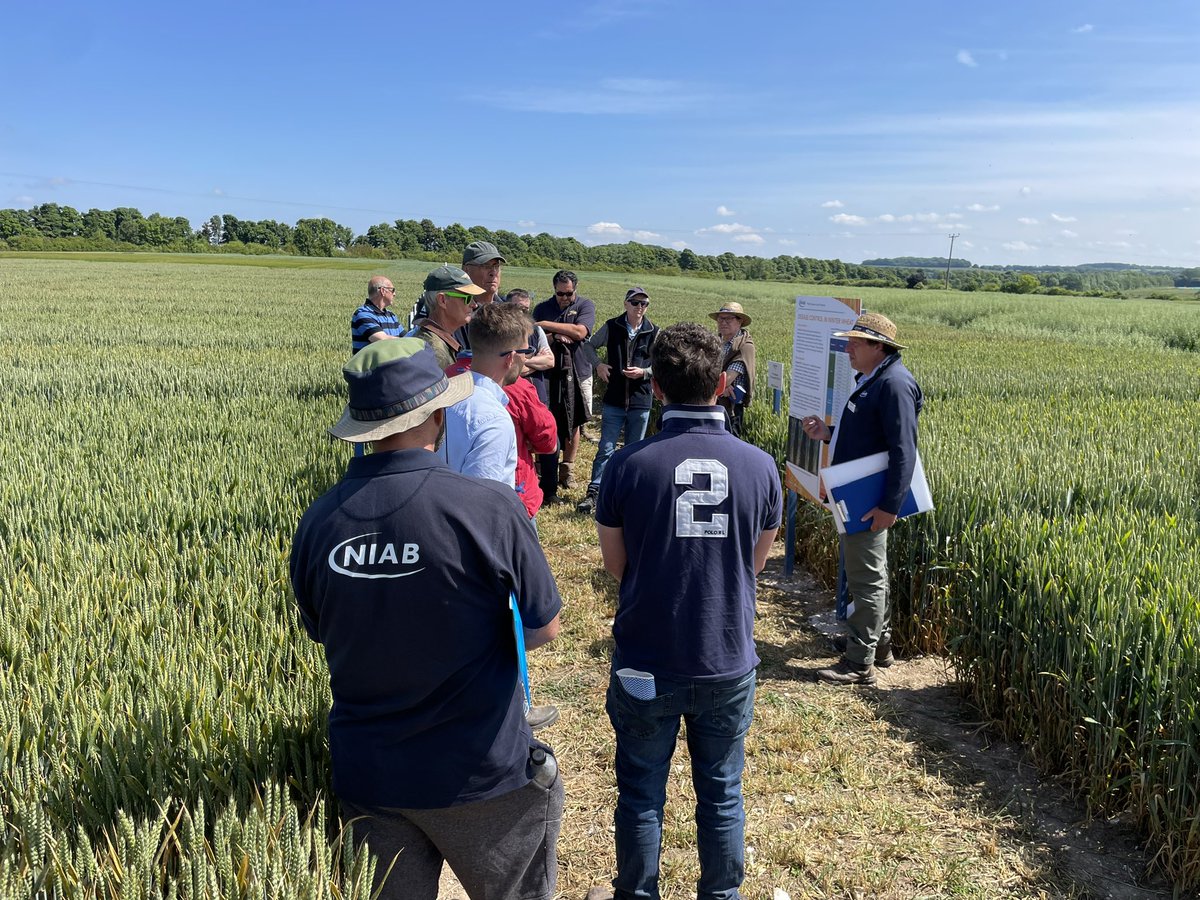 Peter Snell (@snellpeter2) on Twitter photo Enjoying <a href="/niabgroup/">Niab</a> trials at Sutton Scotney today. So important to receive impartial validated trials results and advice Enjoying <a href="/niabgroup/">Niab</a> trials at Sutton Scotney today. So important to receive impartial validated trials results and advice