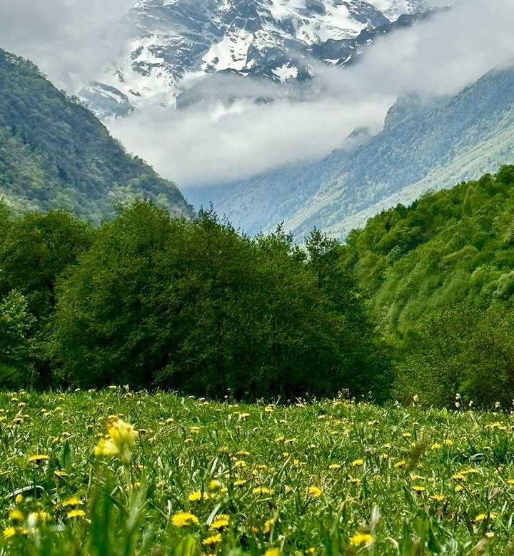 Beautiful weather 🌷🌷🌷