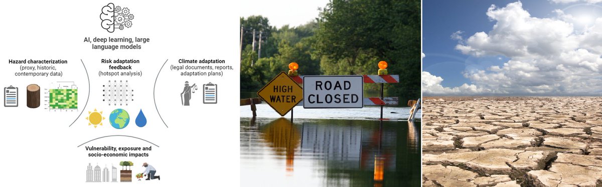 Dr. Mariana Madruga de Brito tweet media