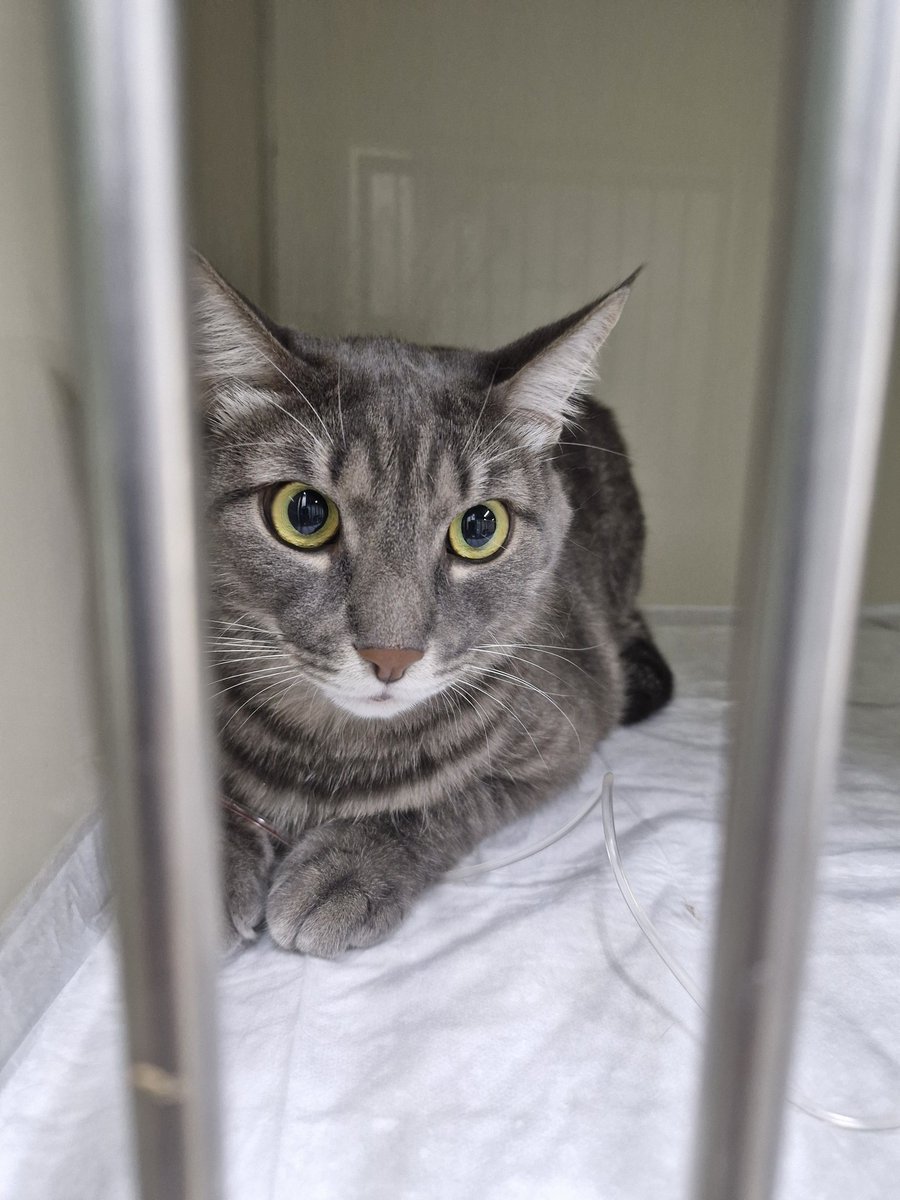 Напуганный ребёнок.