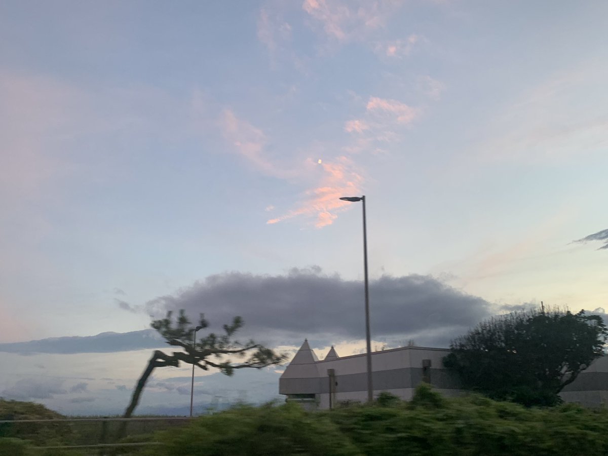 噂のちょすやよ🐾 tweet media