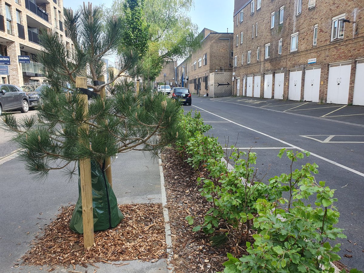 Here's a link to our latest newsletter mailchi.mp/06aa7553eeb1/n…
Deadline for new tree-planting requests for 2024 - 2025 planting season: 12 noon on 25/06/2024