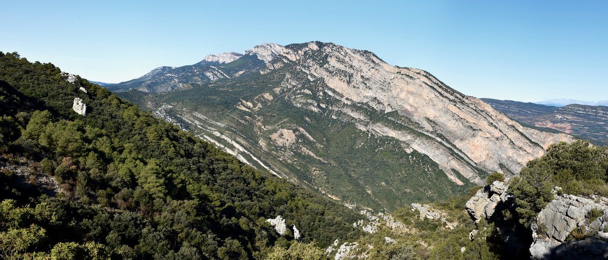 <a href="/SEGREcom/">SEGRE</a> <a href="/pallarsdigital/">Pallars Digital</a> 
Fil 1) Ara, quan sembla que el Parc Natural del Montsec, un projecte medi-ambiental del país q porta més de 40 anys esperant, pot arribar ser una realitat els propers 2 anys, caldrà q inclogui no només el Montsec, malauradament només els Montsecs ...⬇️