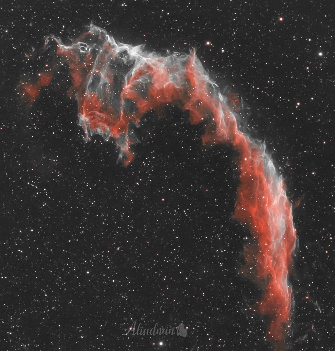 تصويري لسديم الحجاب الشرقي من سماء محافظة كربلاء .
كل عام وانتم بالف خير🌹🌹