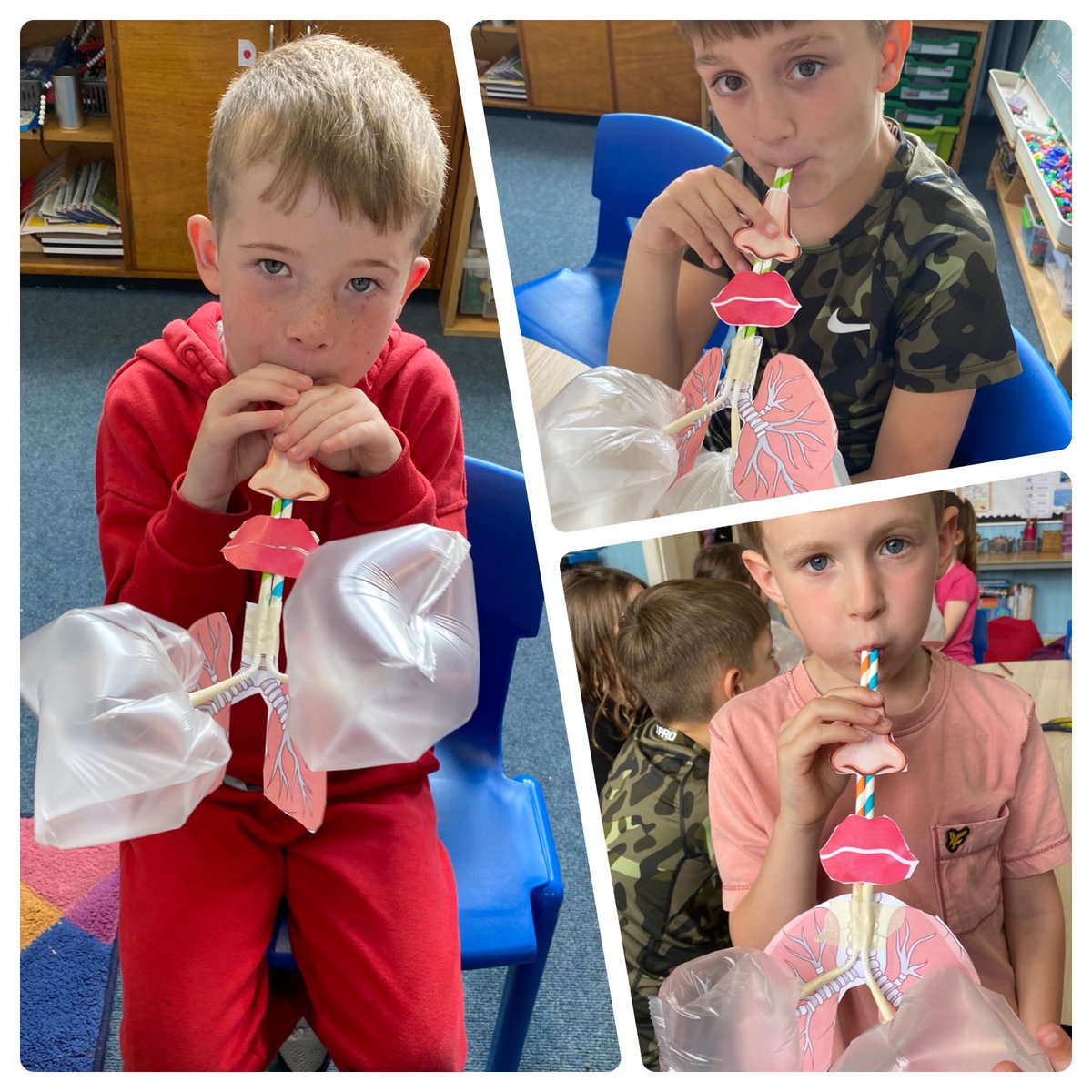 Dechmont Infant Sch tweet media