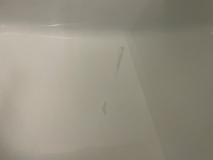 撮影してたら飛びすぎて湯船に入って鬱 https://t.co/LH8O7V2XyG