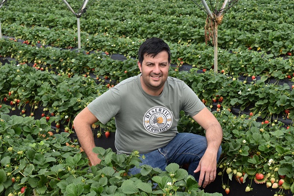 CuadernoAgrario's tweet image. 🍓🫐 #Rusticidad y #resiliencia, el valor añadido con el que @viveroelpinar llega al 9º Congreso Internacional de #FrutosRojos 

+INFO➡️cuadernoagrario.com/?p=58167 

📸#Huelva #ELPINAR #berries l #CongresoFrutosRojos