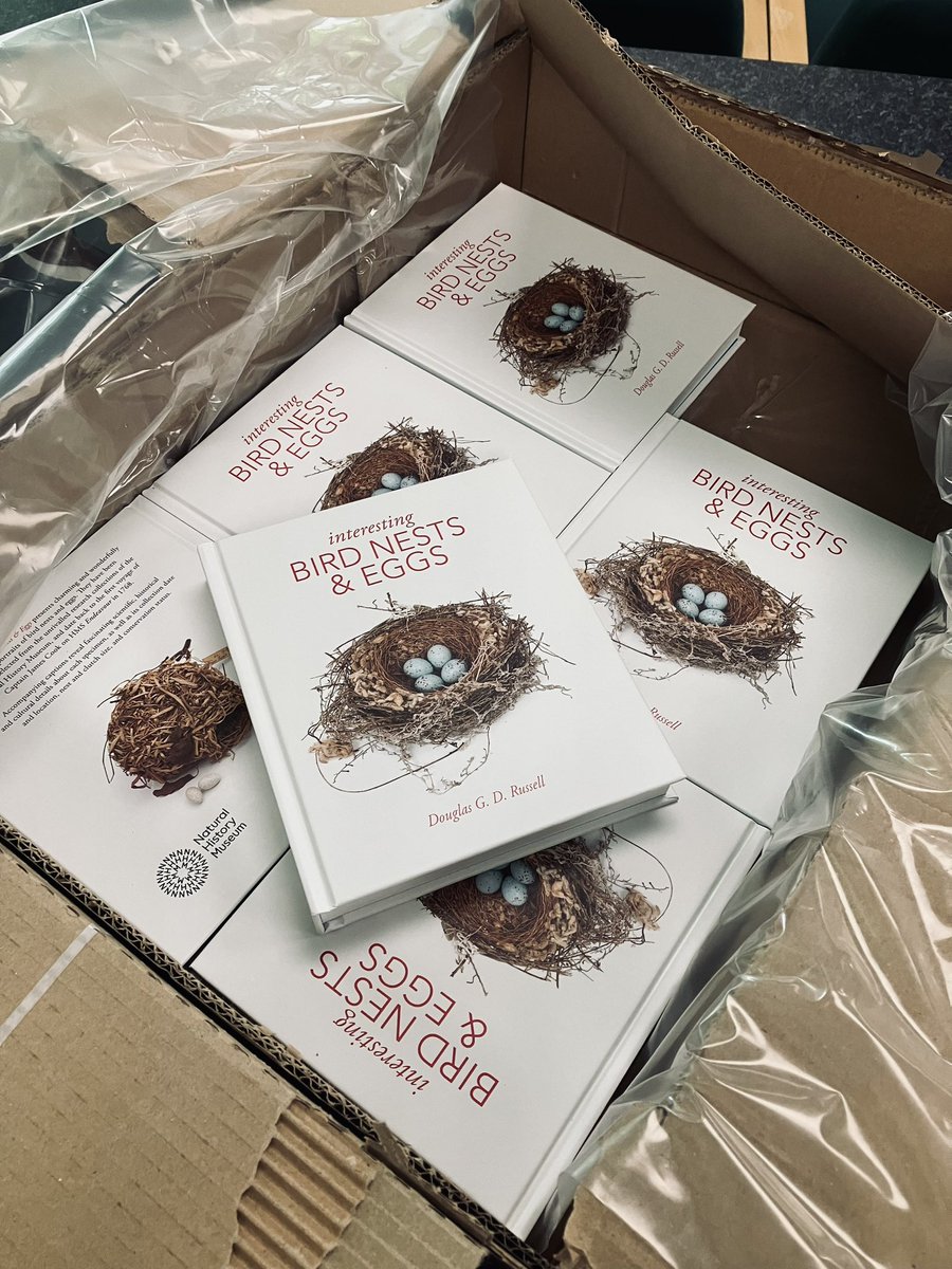 Other books on interesting birds’ nests and eggs are available but none are named as such!