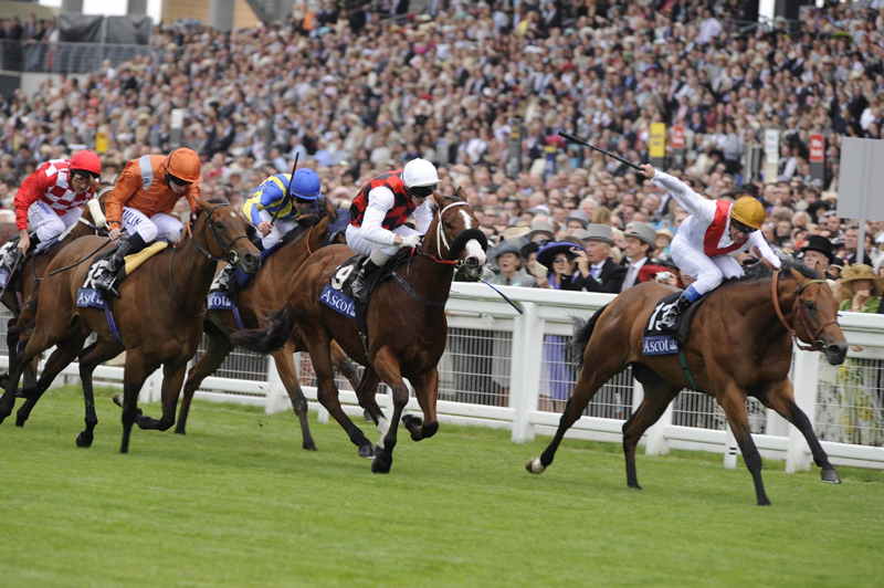 IrishNatStud's tweet image. Throwback to the Royal @Ascot Glory Days!🎩🏆
In 2008 and 2010, Equiano winning the King's Stand Stakes twice! 👑👑
Fast forward to 2020, Nando Parrado winning the Coventry Stakes! 🏇🥇

#RoyalAscot #Throwback #Equiano #NandoParrado #KingsStandStakes #CoventryStakes #GoodLuck