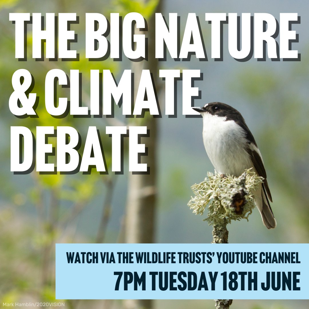 wwf_uk's tweet photo. 🔍Politicians from all the main parties have been put in the hotseat to answer the public’s most pressing environmental questions.
How will their answers stack up?
Tune into the #NatureClimateDebate 👉 https://t.co/2p6ttd7FnR from 7pm to find out. 📺 https://t.co/1Yz5zc71XU
