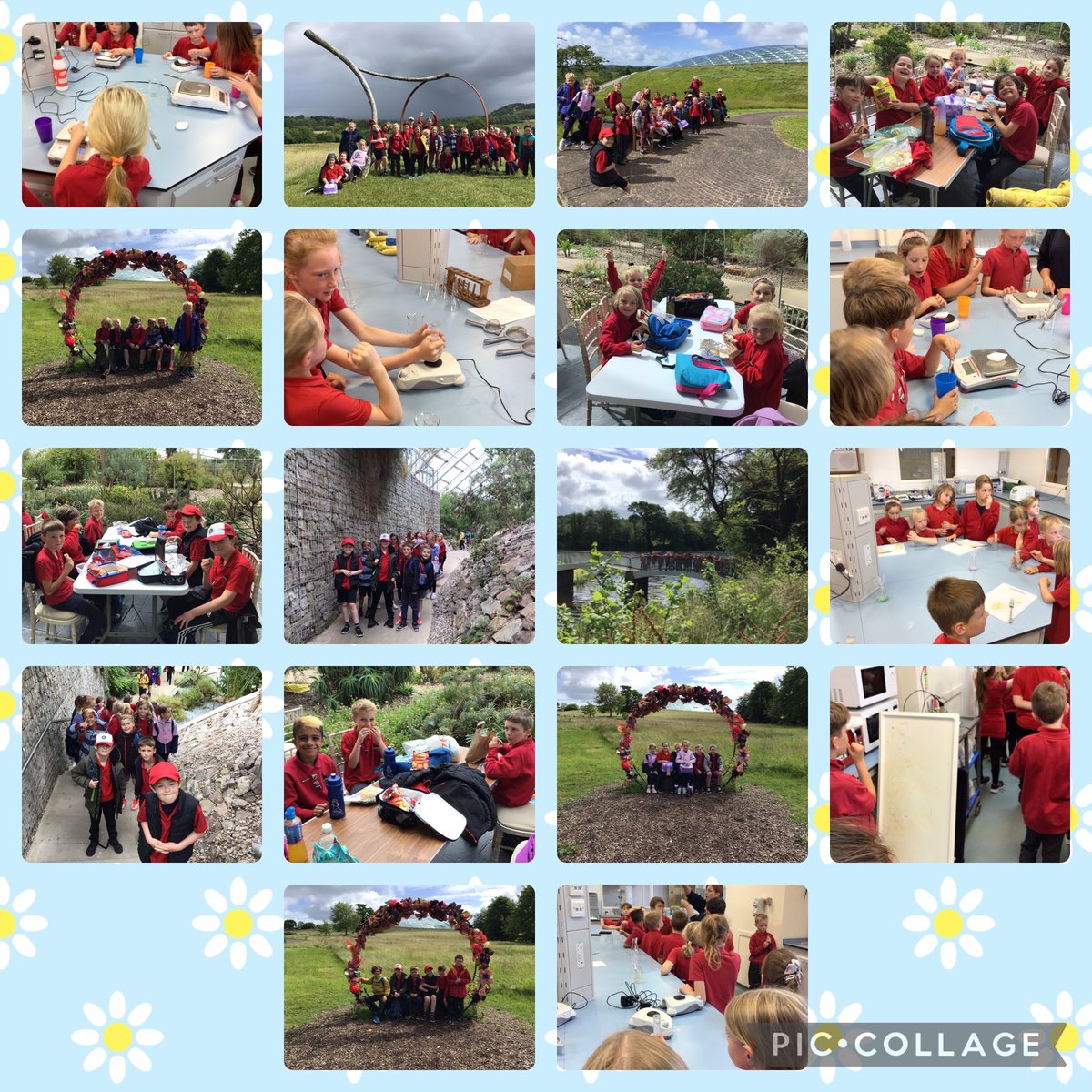 narberthschool's tweet photo. #dosbarthrhiannon @SchoolsPembs @walesbotanic @WalesBotanicEdu 
Diwrnod anhygoel yng Ngerddi Botaneg Cenedlaethol Cymru! Diolch yn fawr iawn am y croeso!🧪😃🧬 https://t.co/Hmx75meY50