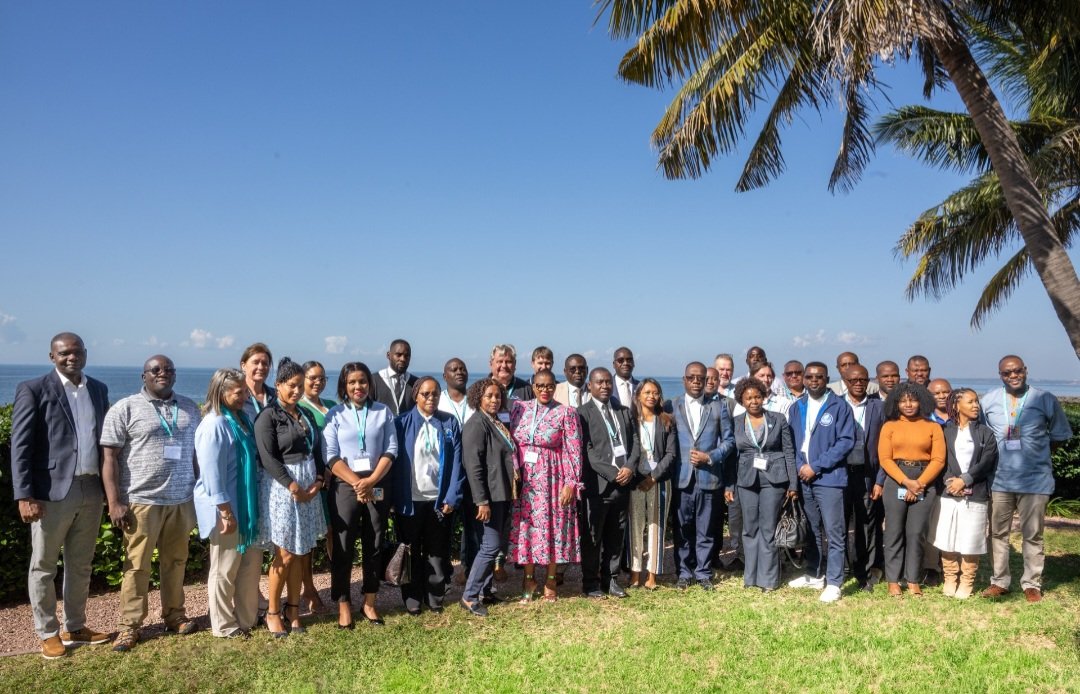 FishFORCE tweet media