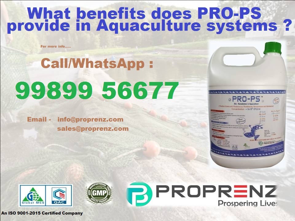 What benefits does PRO-PS provide in aquaculture systems ?
PRO-PS controls harmful bacteria and toxic gases, enhances beneficial organisms, maintains pH levels, oxidizes hydrogen sulfide to sulfur, and increases survival rates in aquaculture systems.