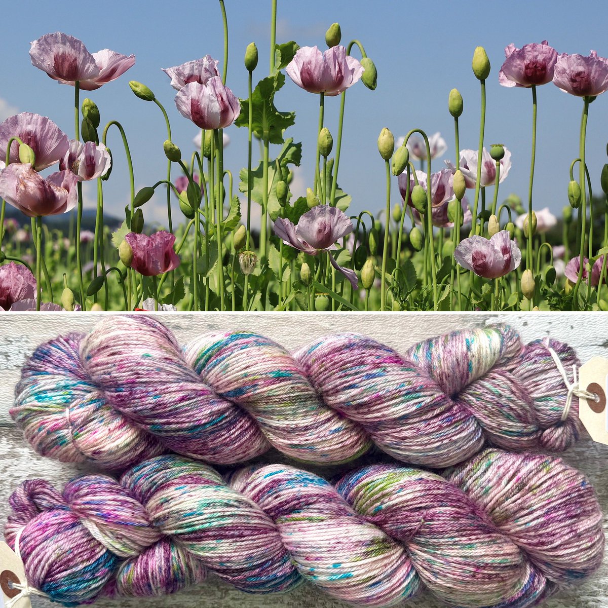 “Summer Poppies” contrasts beautiful floral purple poppies seen against the summer sky. This is merino/bamboo sock, which is ideal if you’d like to try a natural alternative to nylon that yields a yarn similar in properties and usage.
#mothyandthesquid #yarn #knitting #crochet
