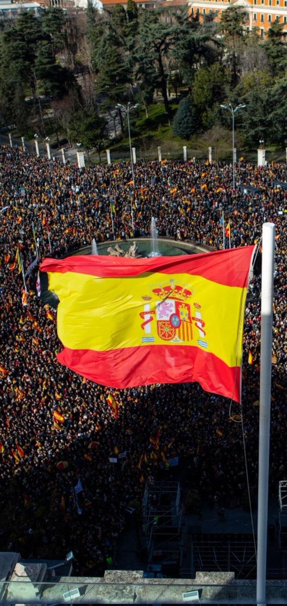 ¡Buenos días, feliz martes!