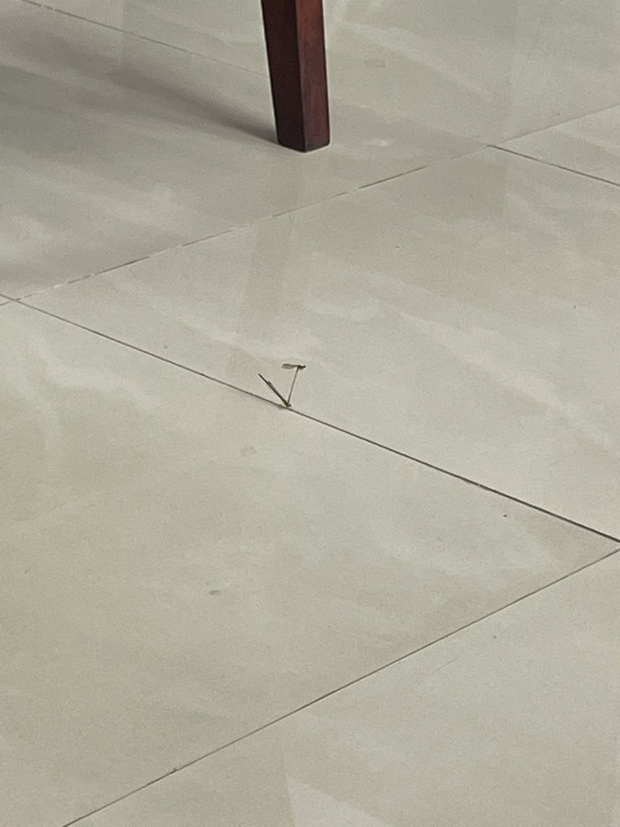 你们有点冒昧了思密达