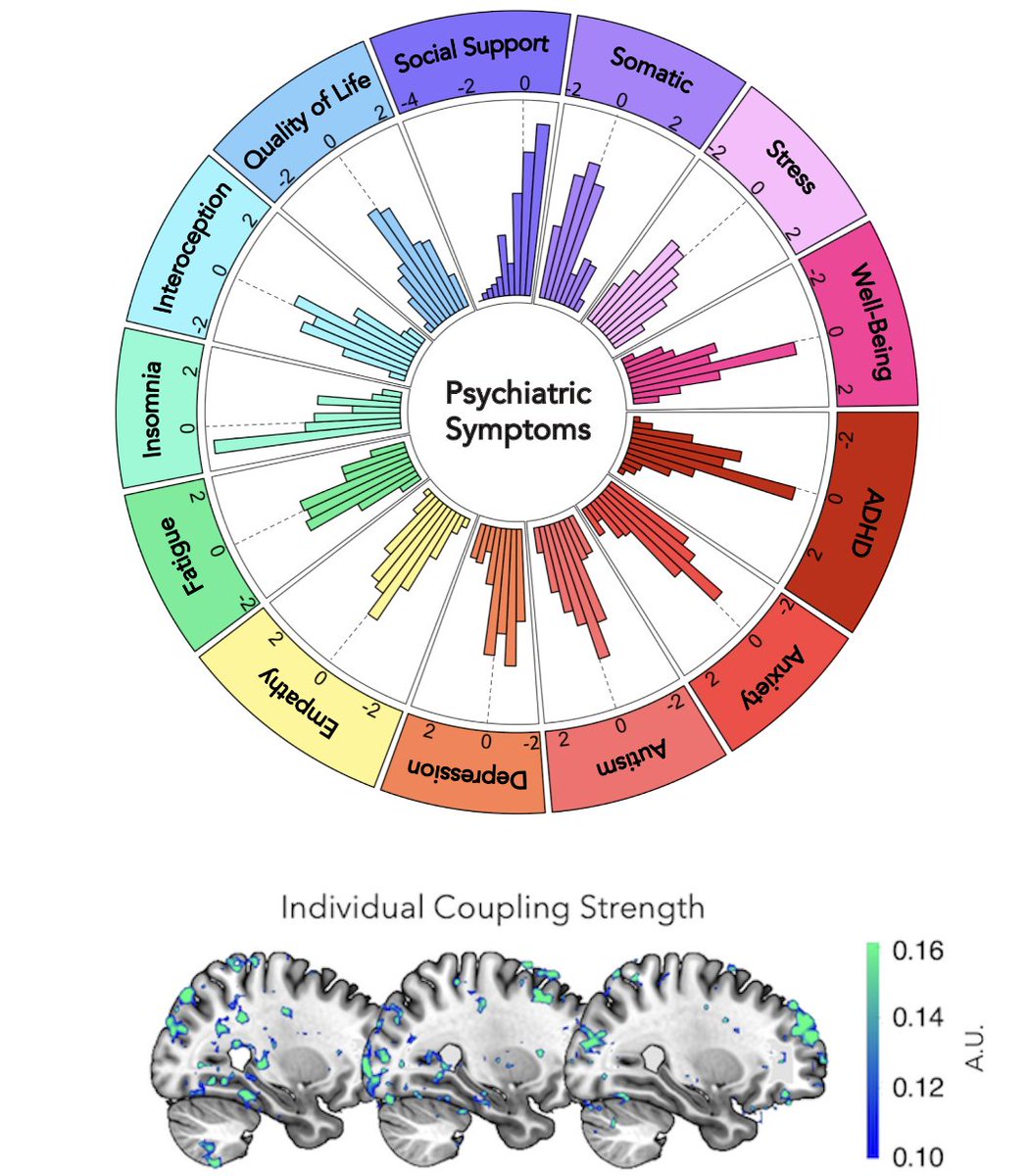 Greater stomach-brain coupling is associated with worse mental health.

🧵1/10