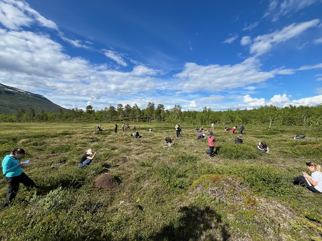 Dr Maria Val Martin (@mvalmartin) on Twitter photo Another day at the <a href="/sheffielduni/">The University of Sheffield</a> Arctic field course. Group projects and data collection, from wood ant behaviour to structure in arctic ecosystems. <a href="/GarethPhoenix/">Gareth Phoenix</a> @DrHollyCroft <a href="/sheffieldplants/">Colin Osborne</a> <a href="/PPS_UoS/">Plants, Photosynthesis and Soil</a> Another day at the <a href="/sheffielduni/">The University of Sheffield</a> Arctic field course. Group projects and data collection, from wood ant behaviour to structure in arctic ecosystems. <a href="/GarethPhoenix/">Gareth Phoenix</a> @DrHollyCroft <a href="/sheffieldplants/">Colin Osborne</a> <a href="/PPS_UoS/">Plants, Photosynthesis and Soil</a>