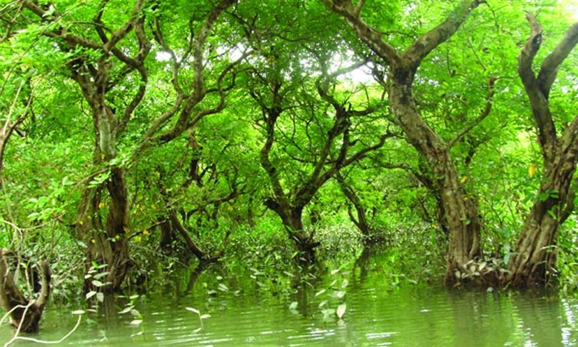 সিলেটের সব পর্যটনকেন্দ্র বন্ধ ঘোষণা