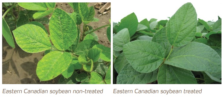 Taylor Jeffery tweet media