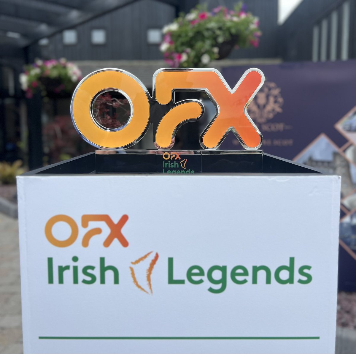 OFX Irish Legends (@ofxirishlegends) on Twitter photo The <a href="/OFX/">OFX</a> Irish Legends trophy has landed at <a href="/SeapointGolf/">Seapoint Golf Links</a> Links 🏆
Let a great week of golf commence!
<a href="/forefrontsports/">ForeFront Group</a> | <a href="/euLegendsTour/">Legends Tour</a> | <a href="/CarrGolfTravel/">Carr Golf</a> The <a href="/OFX/">OFX</a> Irish Legends trophy has landed at <a href="/SeapointGolf/">Seapoint Golf Links</a> Links 🏆
Let a great week of golf commence!
<a href="/forefrontsports/">ForeFront Group</a> | <a href="/euLegendsTour/">Legends Tour</a> | <a href="/CarrGolfTravel/">Carr Golf</a>