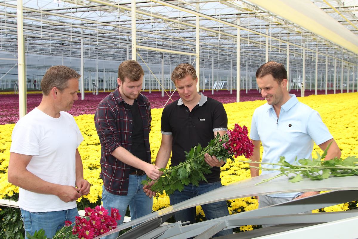 Branded content - Chrysantenteler Henry Satter is verrast door de resultaten van een nieuwe groene strategie voor luisbestrijding, ontwikkeld door <a href="/iperen_nl/">Van Iperen</a> . 'Er zijn aandachtspunten, maar het loopt beter dan ik gedacht had', zegt hij. #duurzaam digitaal.bloemisterij.nl/bloemisterij-e…