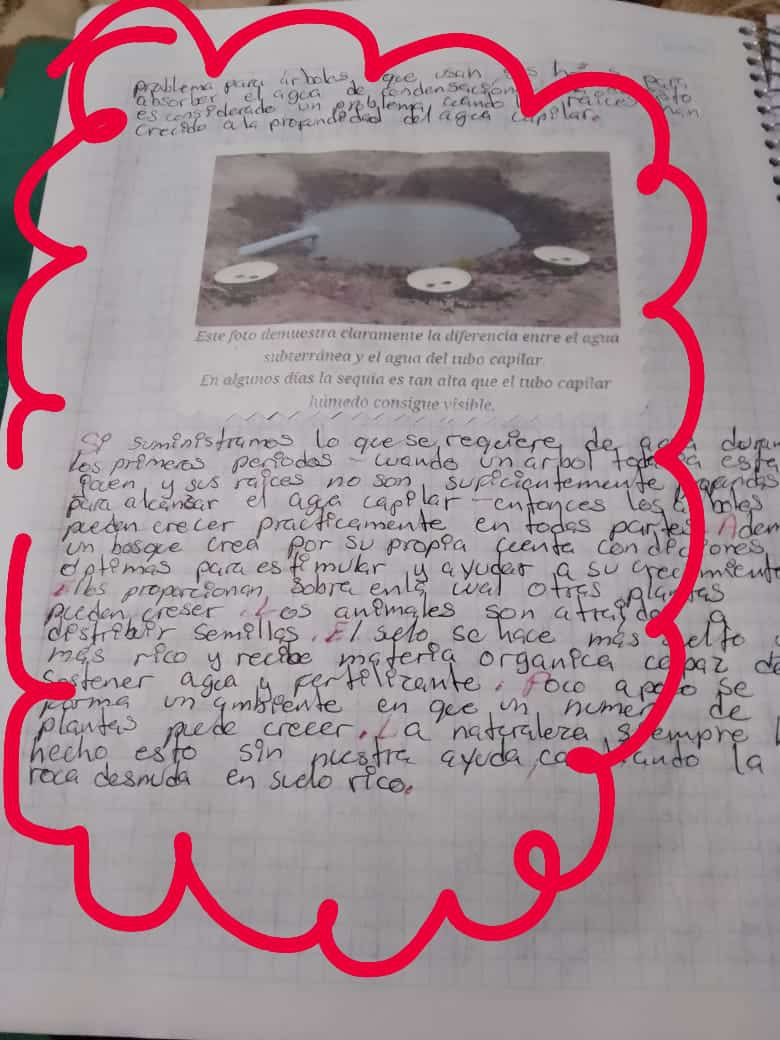 PLECrecimiento's tweet photo. el éxito se traduce en trabajo arduo🎓 https://t.co/f9SoGXSduO
